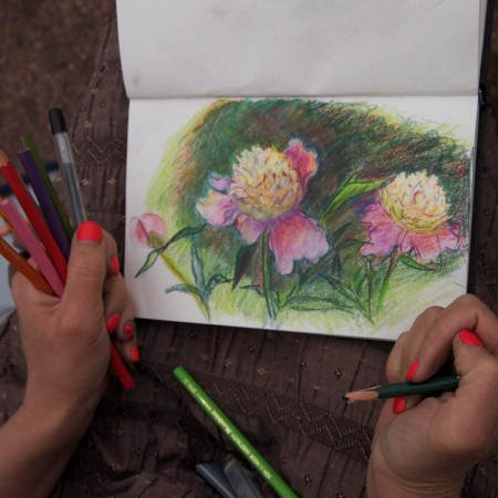 Рисуем цветы в Ботаническом саду «Цветы в природе»